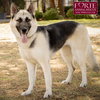 Maya - Photo 3