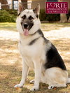Maya - Photo 4