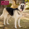 Maya - Photo 5