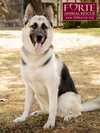 Maya - Photo 6