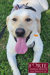 Enzo - Photo 1