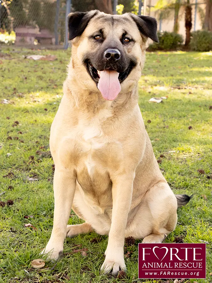 Annie image 3