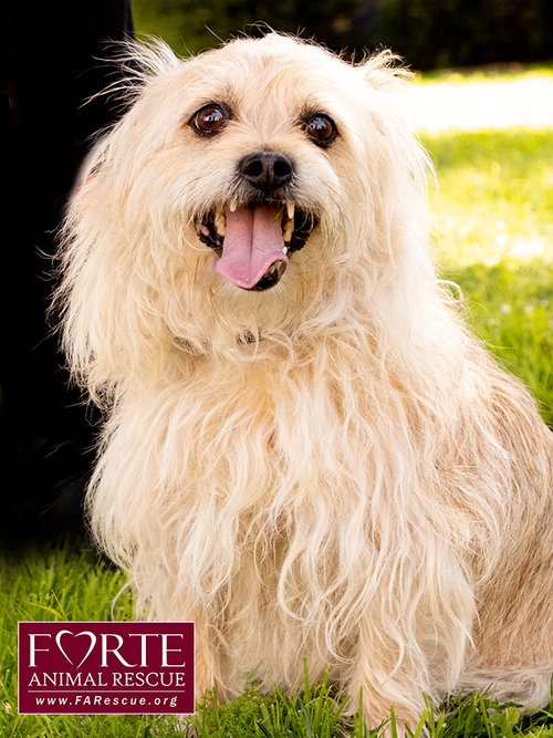 Photo 5 of Cubby