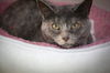 Missy #2