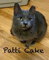 Patti Cake