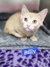 Billy #5