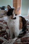 KiKi #3