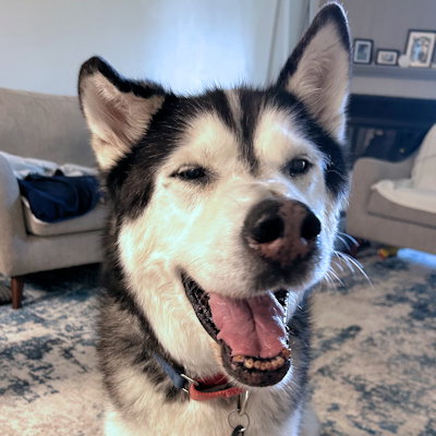 Archie