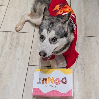 Cheez It