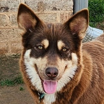 Sitka