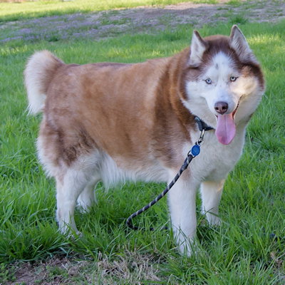 Templeton photo 2