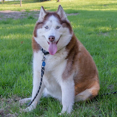 Templeton photo 3