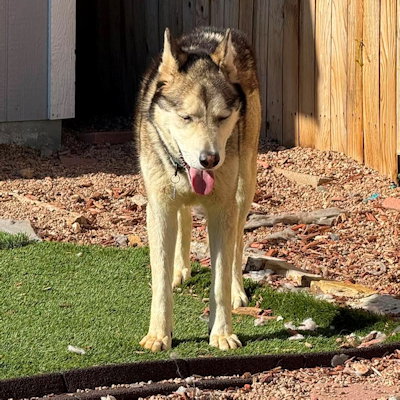 Ranger photo 3