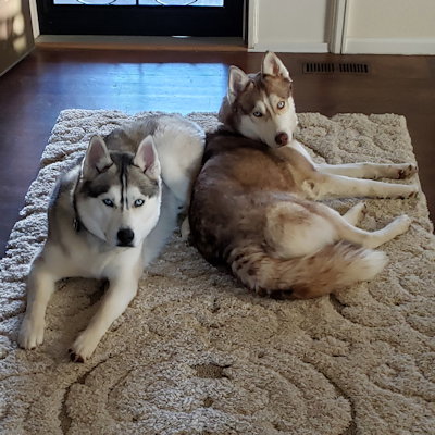 Photo 4 of River & Shadow