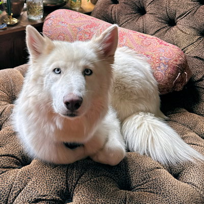 Photo 4 of Roxanne