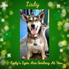 Lady aka Lady Bug