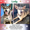 Lady aka Lady Bug - Photo 1