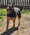 Ace23 - Photo 4
