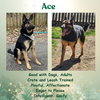 Ace23 - Photo 2