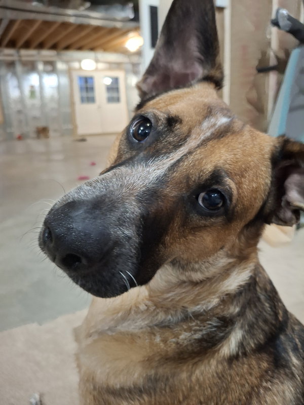 Opie