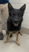 Dugan