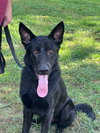 Julio - Photo 5