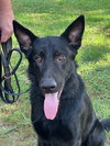 Julio - Photo 6