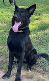 Julio - Photo 3