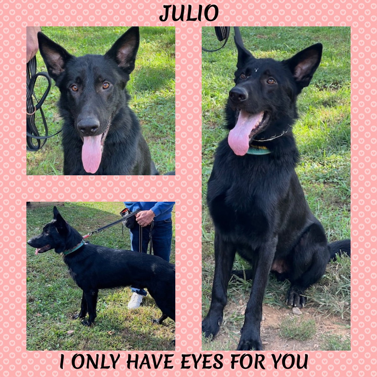 Julio Image