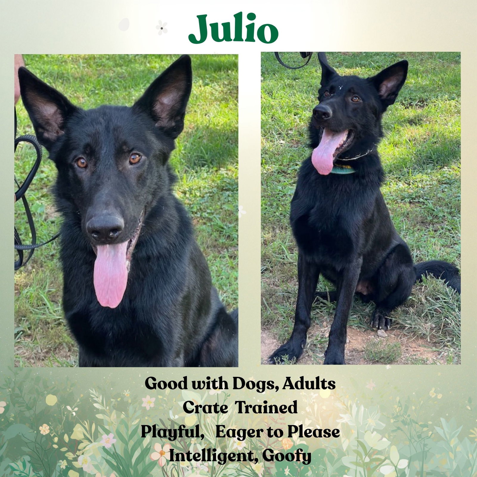 Julio