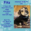 Fitz