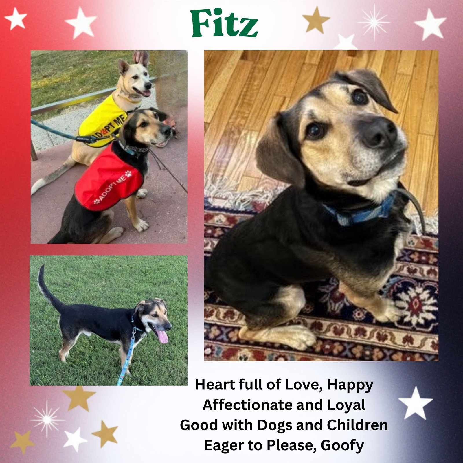 Fitz Image
