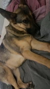 Echo - Photo 9