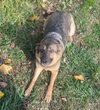 Echo - Photo 10
