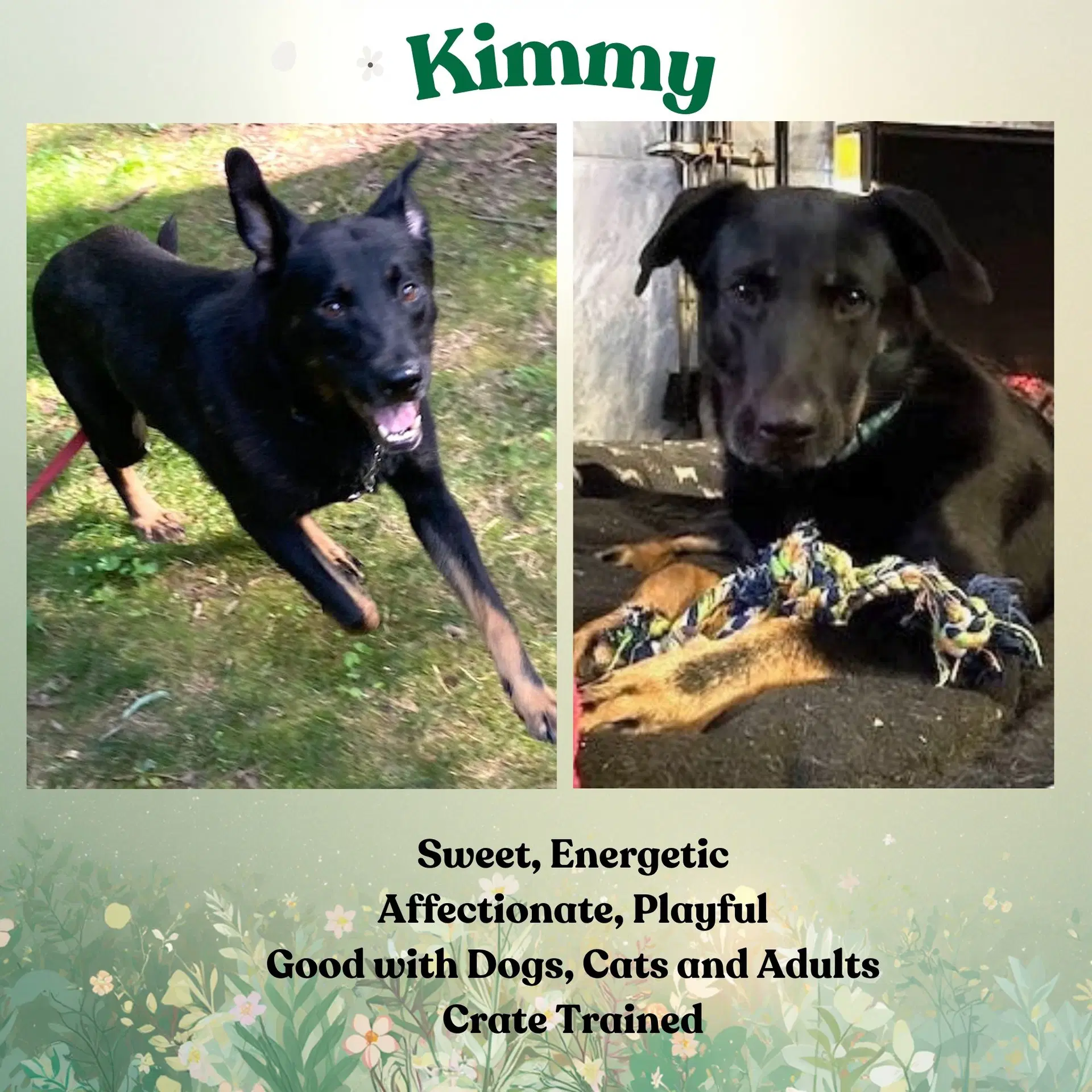 Kimmy image 2