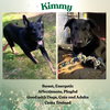 Kimmy