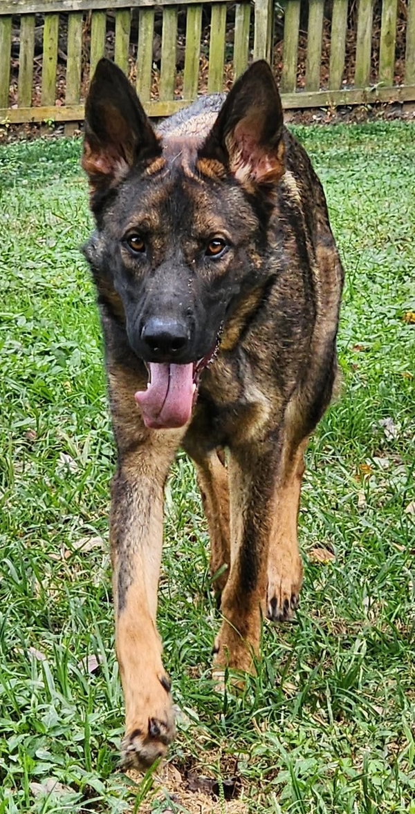 Chase