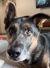 Nash