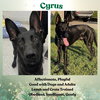 Cyrus