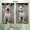 Kaya