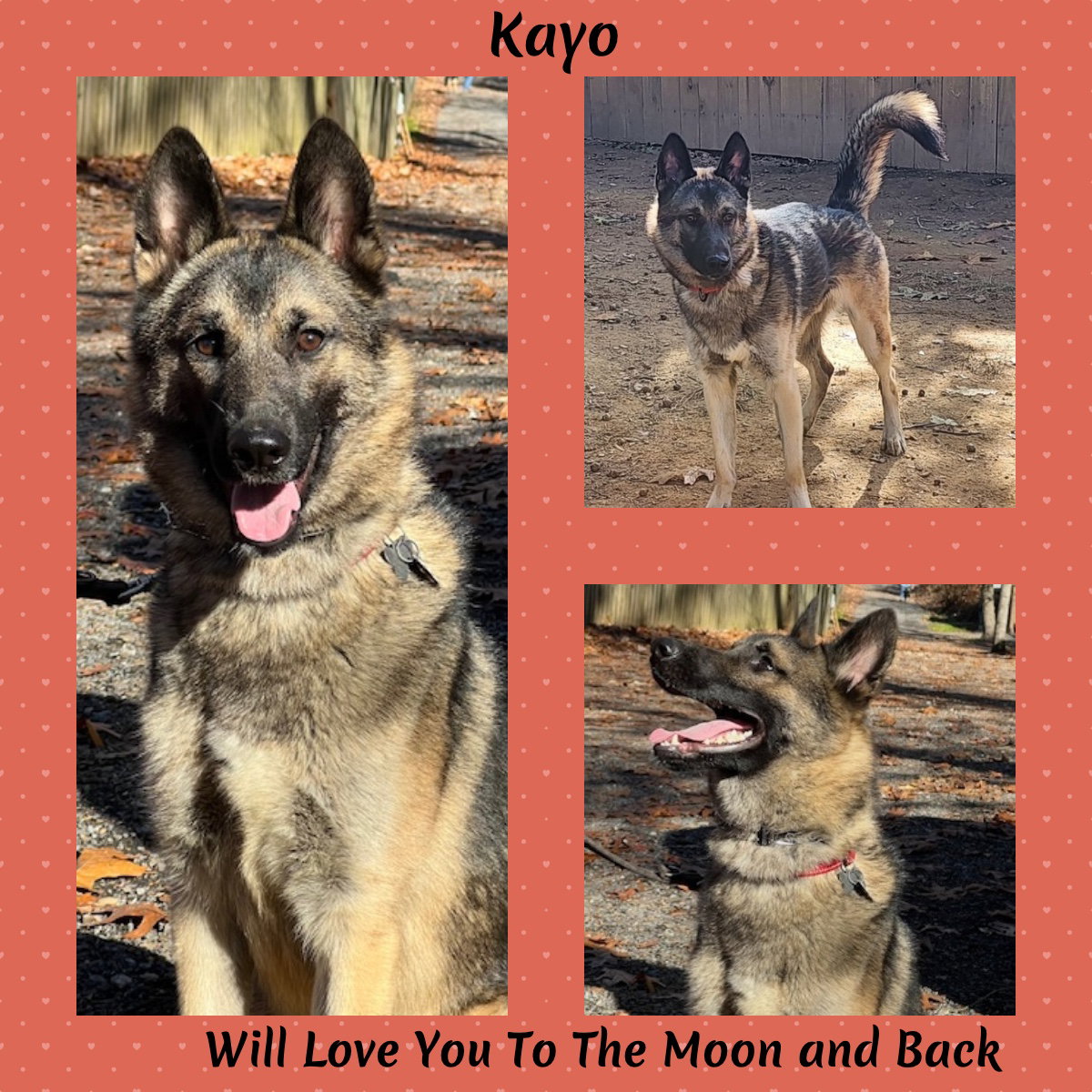 KAYO Image