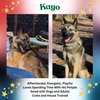 KAYO - Photo 1