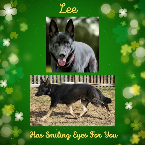 Lee