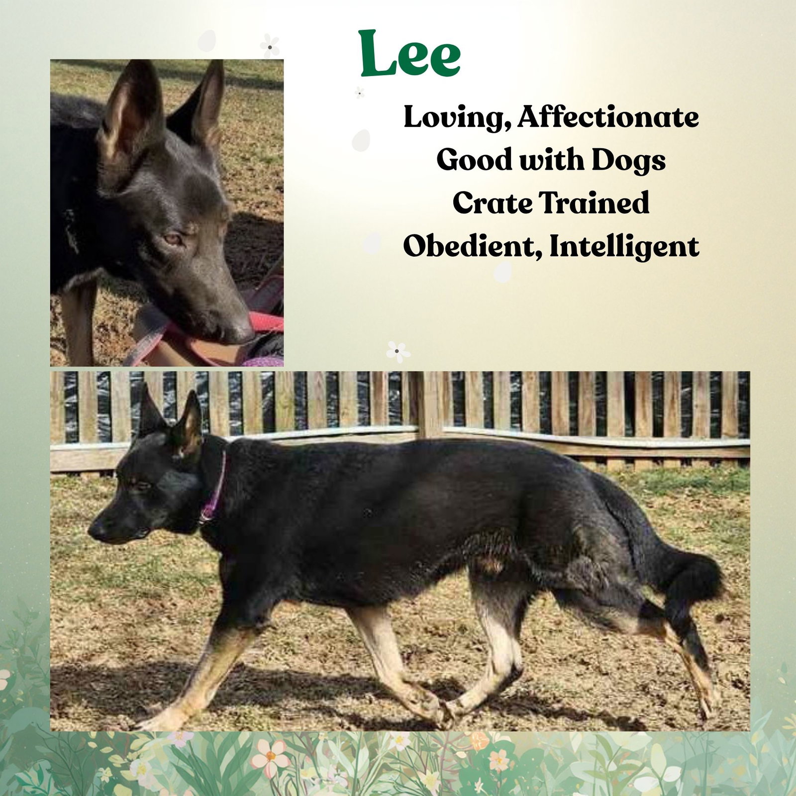 Lee