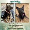 Berkeley