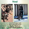 Noel