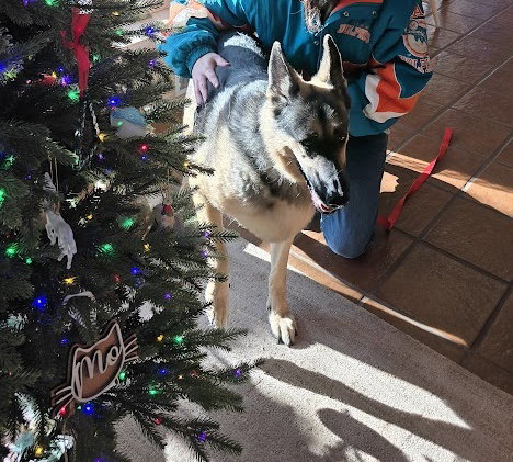 Bella