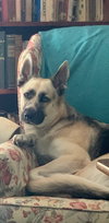 Bonnie