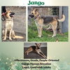 Jango