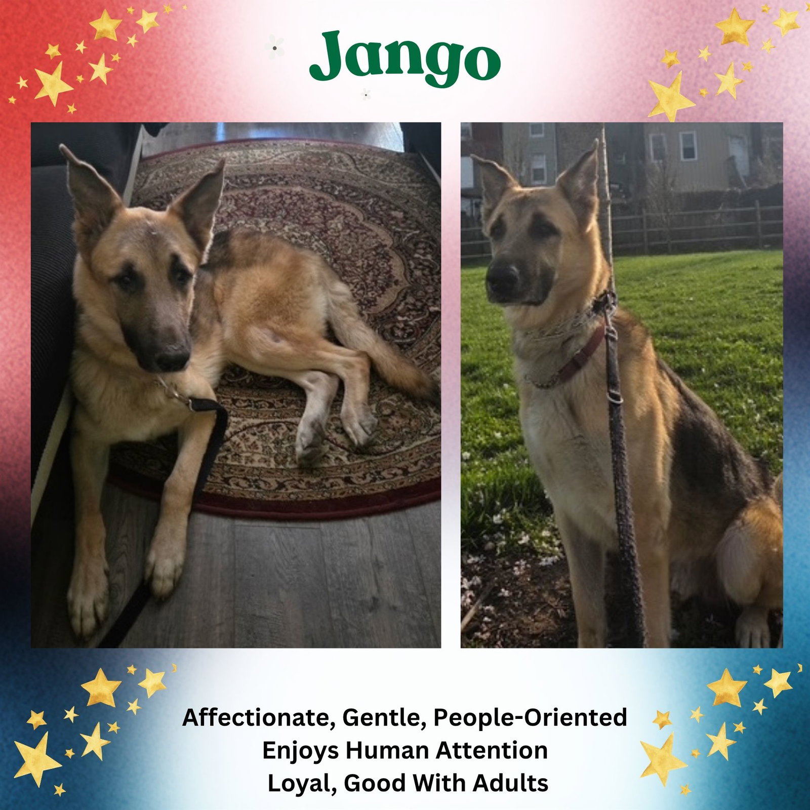 Jango Image